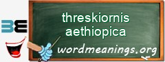 WordMeaning blackboard for threskiornis aethiopica